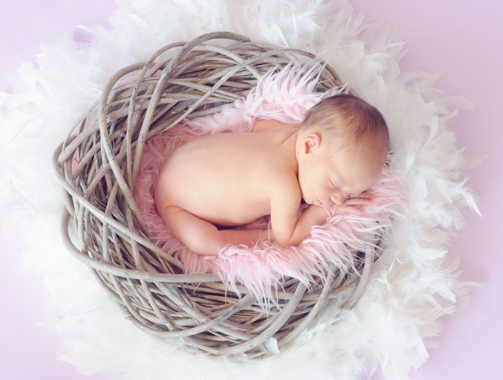 Bebés recién Nacidos de 6 a 8 meses