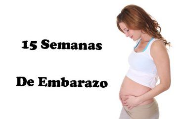 la madre en 15 semanas de embarazo