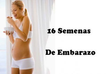 la madre en las 16 semanas de embarazo