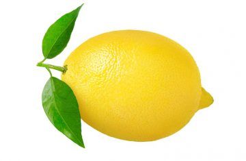 el bebe en 14 semanas de embarazo tiene el tamaño de un limon