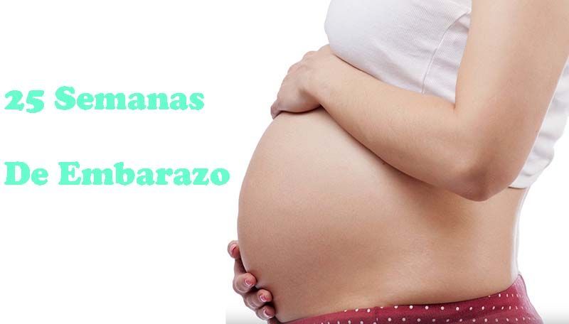 semana 25 de embarazo en la madre