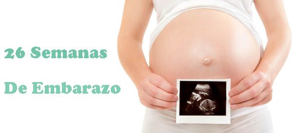 26 semanas de embarazo en la mama