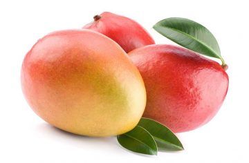 el tamaño de un bebe en la s 19 semanas de embarazo es como un Mango