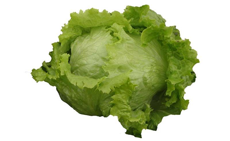 el tamaño del bebé a las 26 semanas de embarazo es como una lechuga