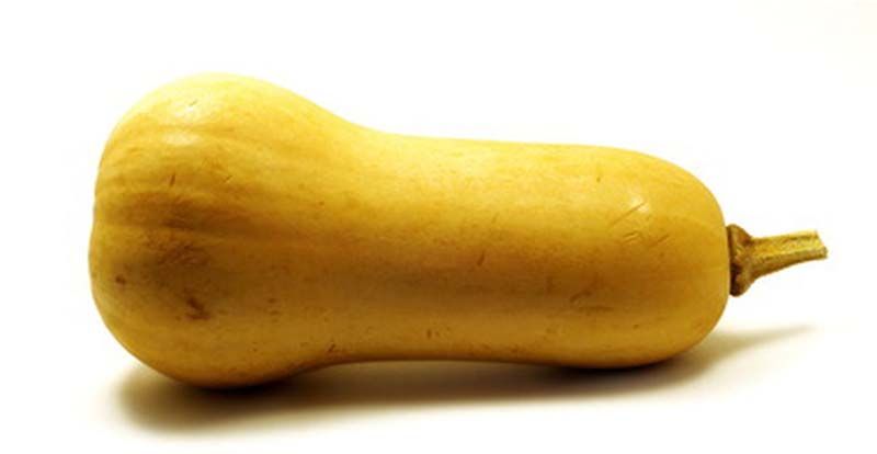 Calabaza de invierno es como un bebe de 34 semanas de embarazo