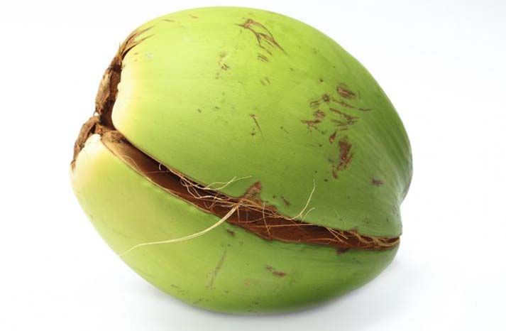 tamaño del bebe en la 35 semana de embarazo es como un coco entero