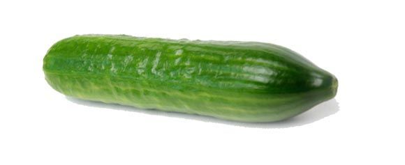 el tamaño de un bebe a las 30 semanas es como un pepino
