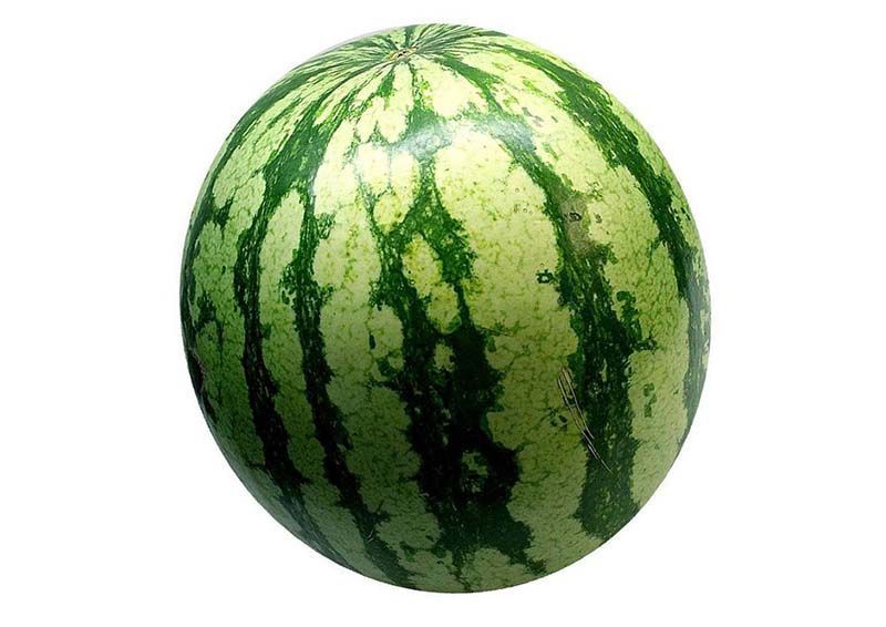 tamaño de bebe a las 40 semanas de embarazo e scomo una sandia
